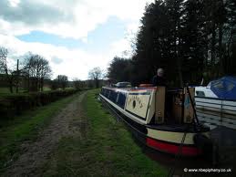 boat and hedge