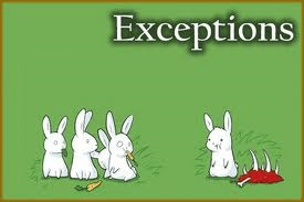 Exception 2