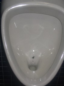 It's not real, but it works just as well as a target.jpg