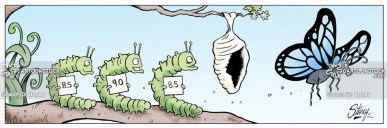 Butterfly Competitions